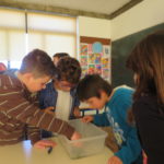 Foram realizadas Oficinas Experimentais de Ciência na Escola Básica de Guilheta 2 IMG 2773