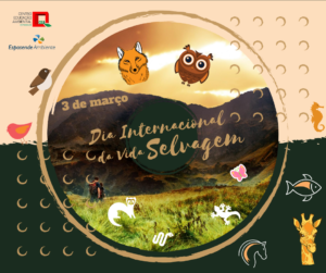 Dia internacional vida selvagem