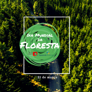 Dia mundial da floresta v2