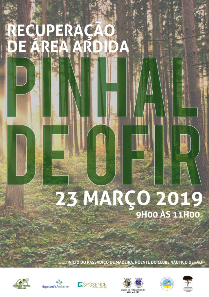 PINHAL OFIR