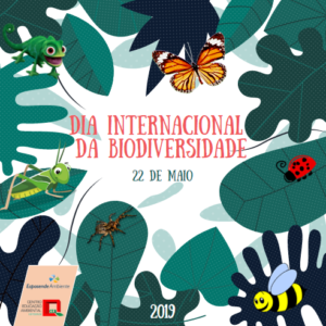 dia internacional biodiversid19 2