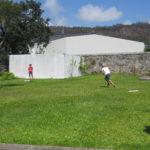 IMG 5350