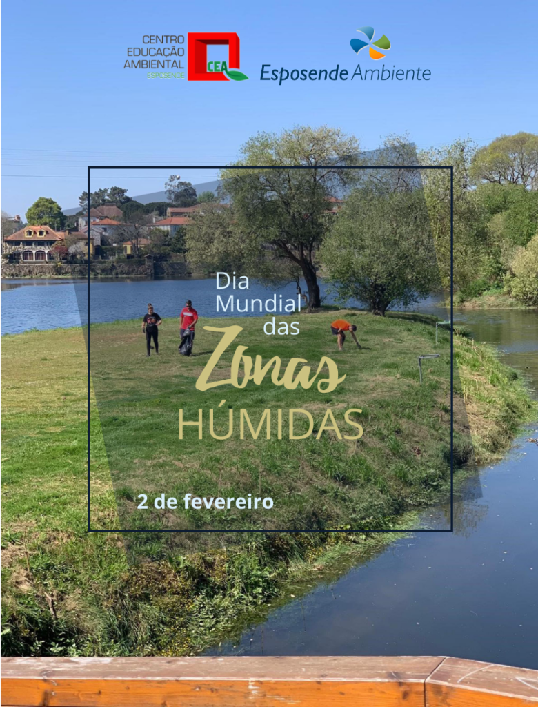 Dia mund zonas humidas20 1