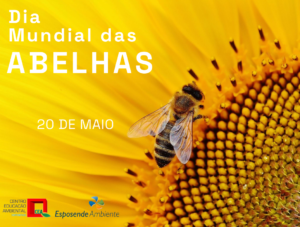 dia mundial abelhas