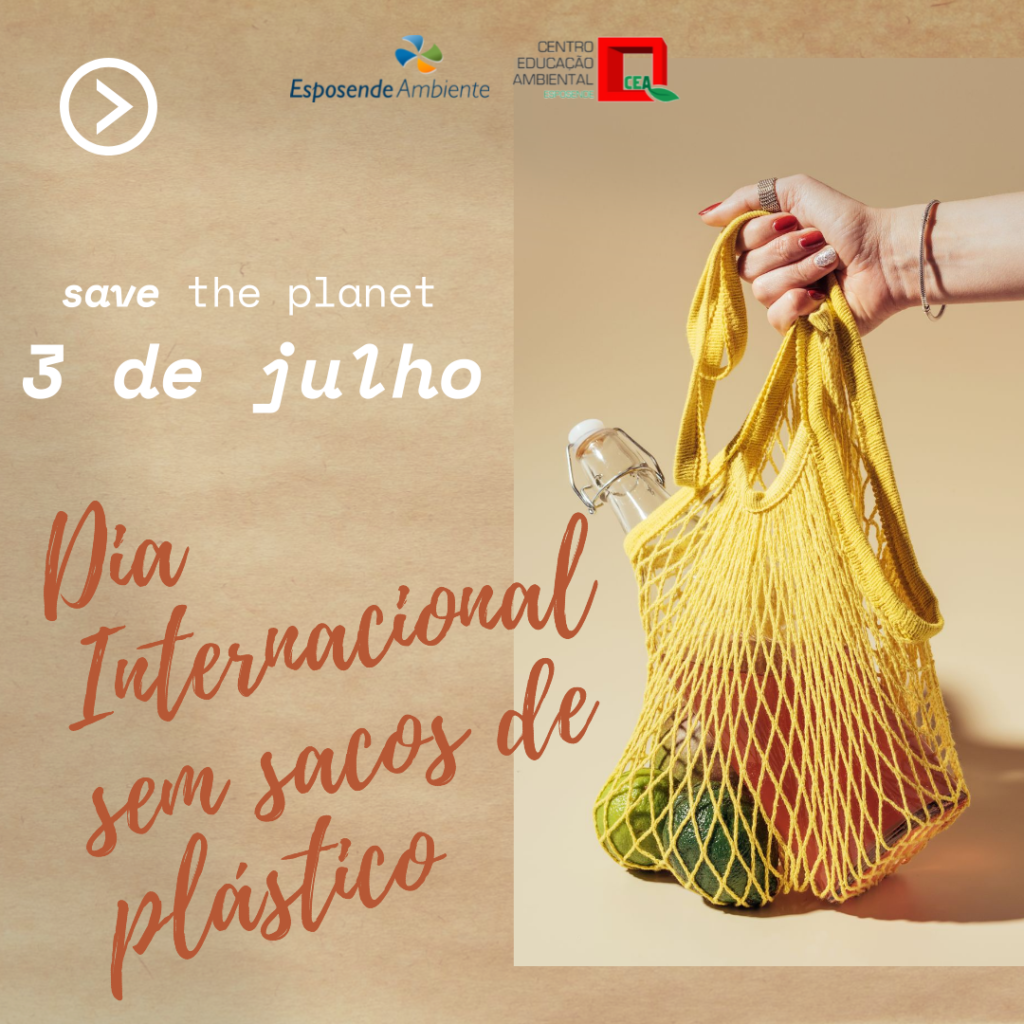 dia sem sacos
