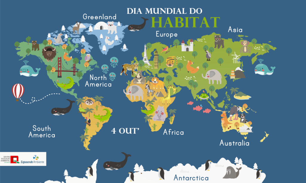 dia mundial habitat