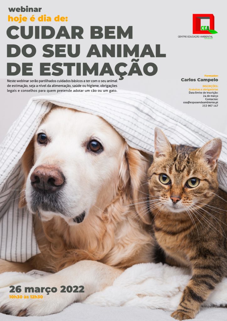 cuidarANIMALESTIMACAO