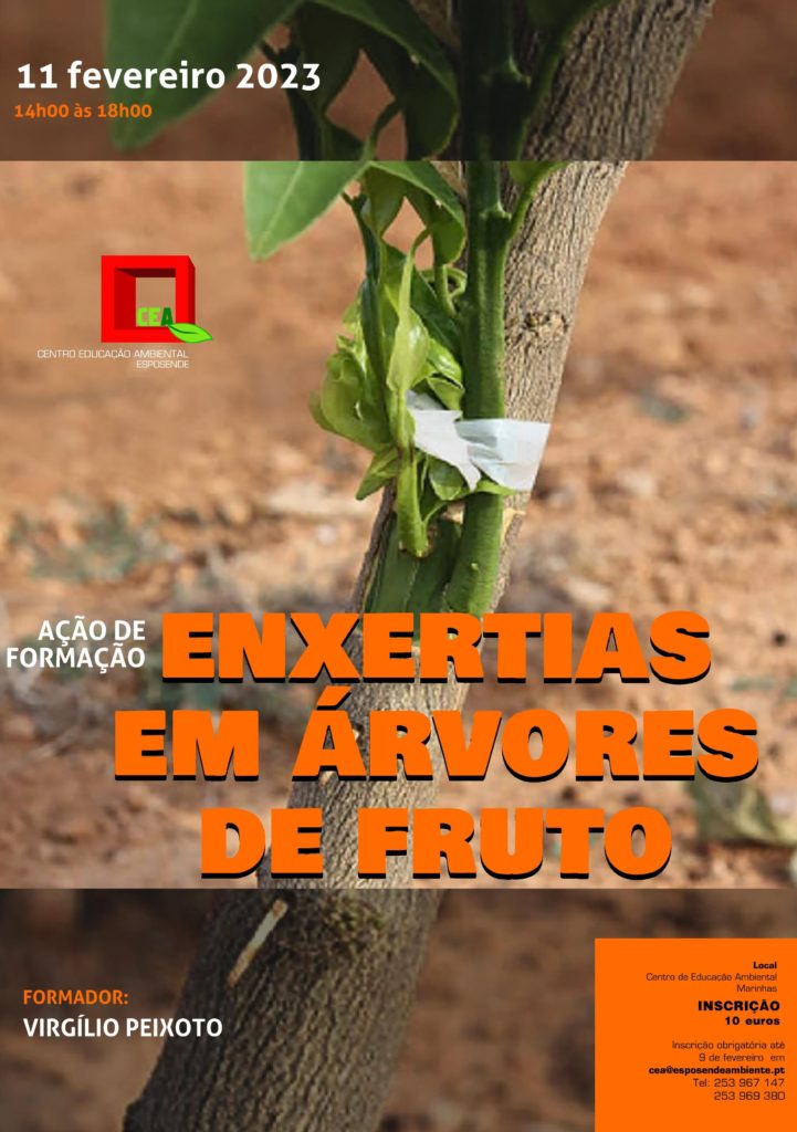 Enxertias 11fevereiro