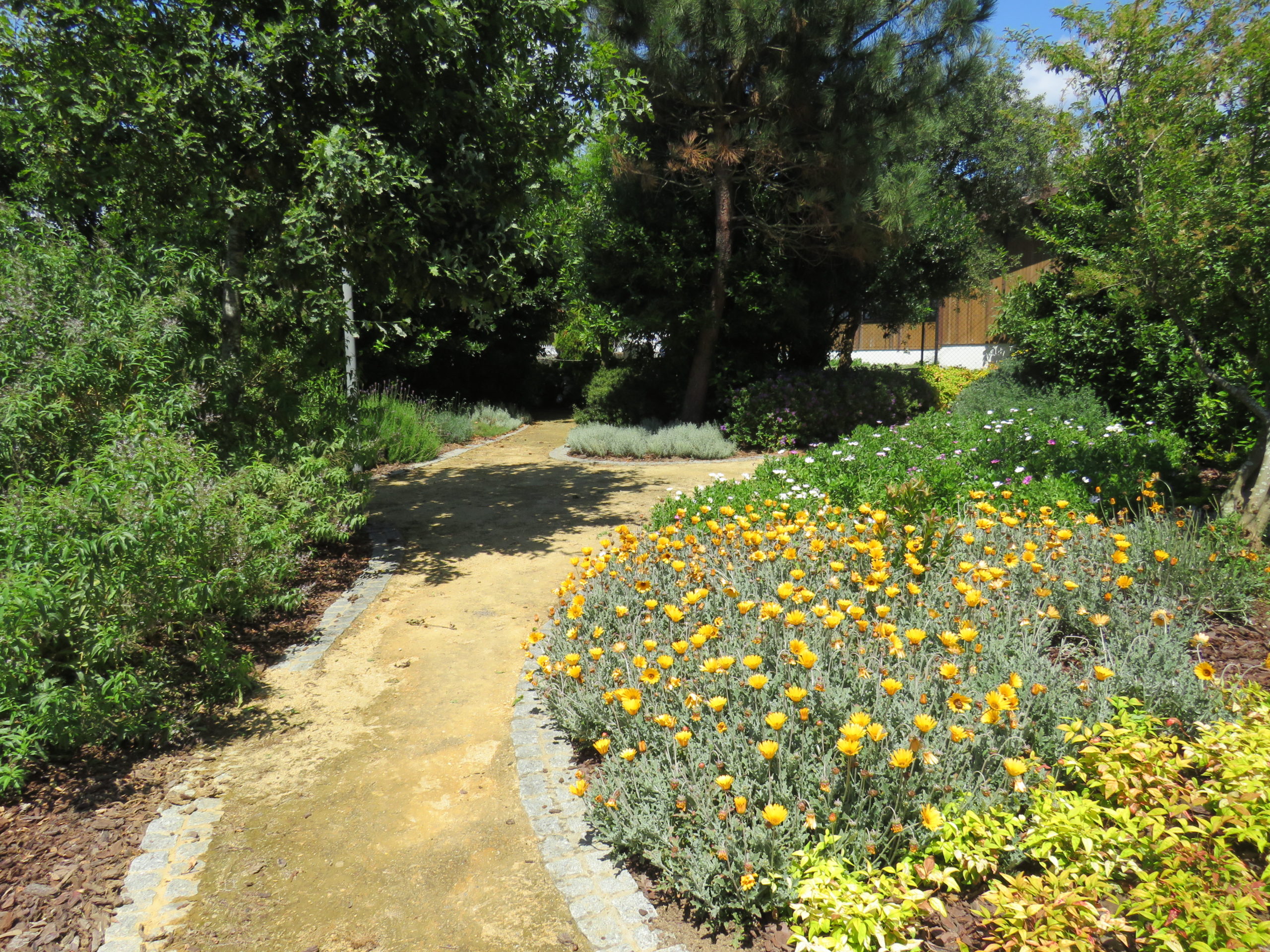 Crianças do ensino pré-escolar do Centro Escolar de Forjães participaram na iniciativa “Um Passeio pela Biodiversidade”! 3 IMG 7346 scaled