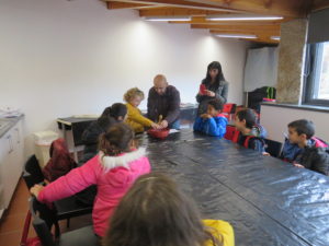 IMG 8794
