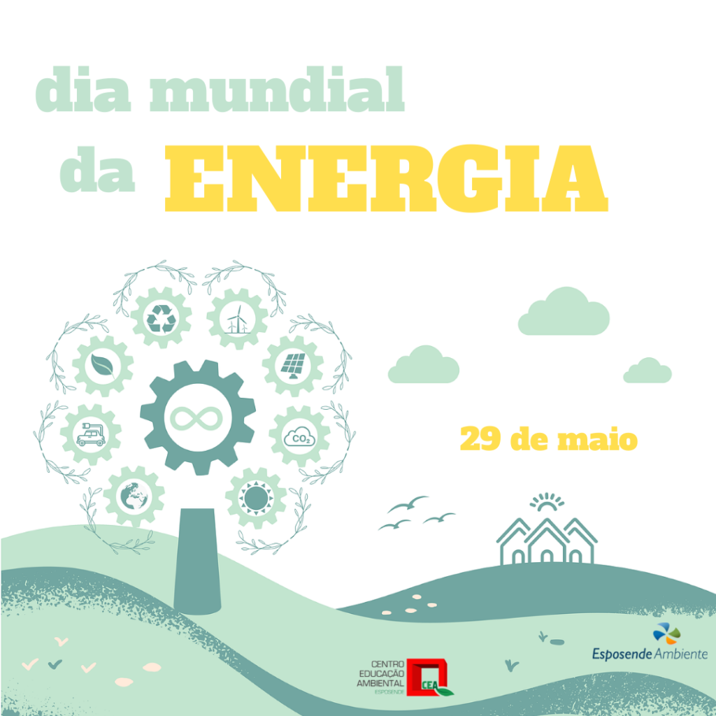 dia mundial energia