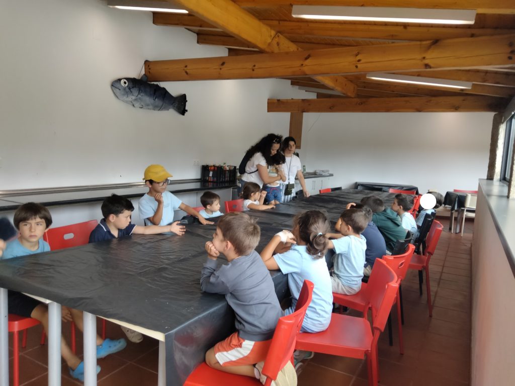 IMG20240801145810