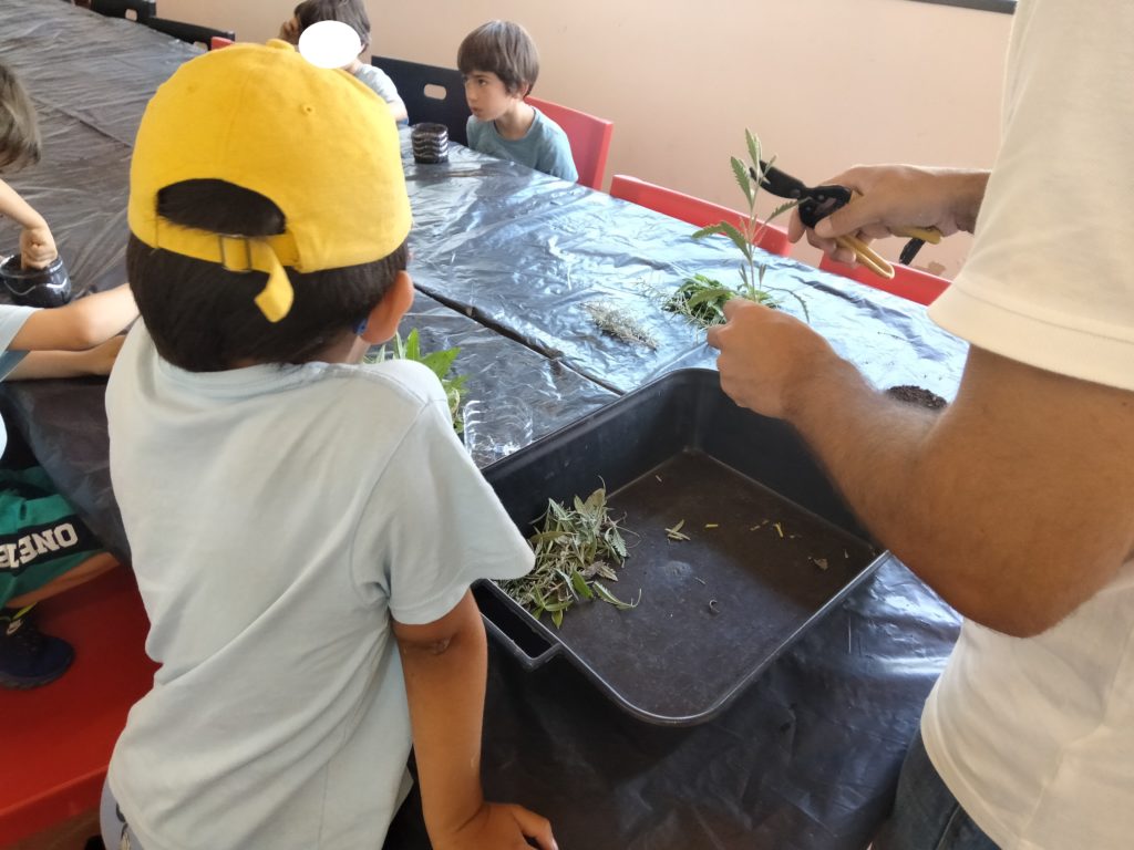IMG20240801160112
