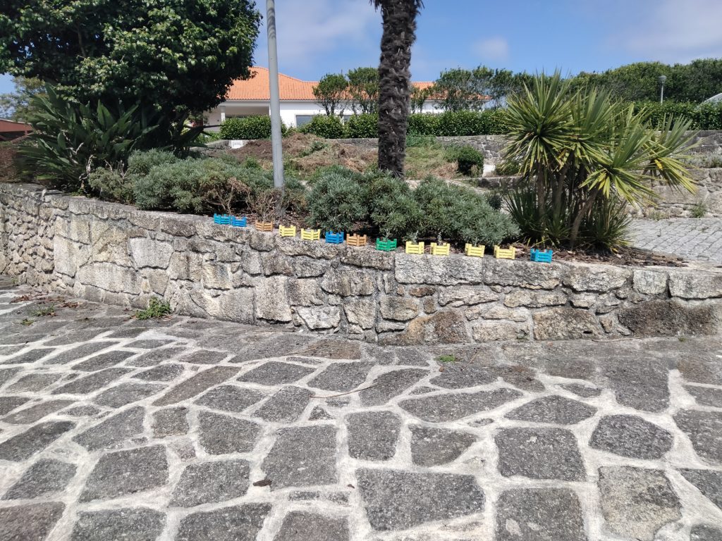 IMG20240801160123