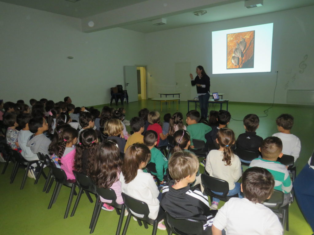 Centro de Intervenção Cultural e Social de Palmeira de Faro participou na iniciativa “O morcego esquecido”! 2 IMG 2741