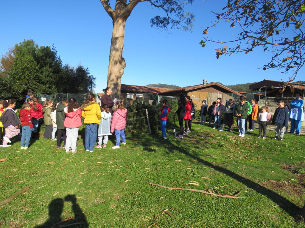 Centro de Educação Ambiental levou a cabo as Aventuras de Férias de Natal! 5 IMG 3509