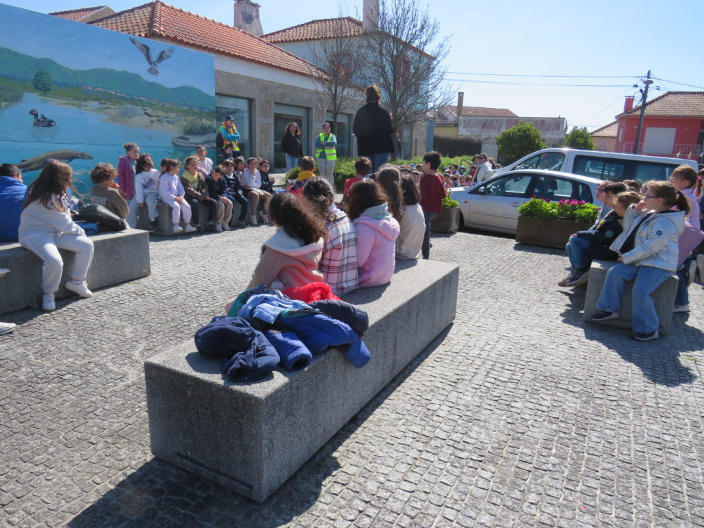 IMG 4766