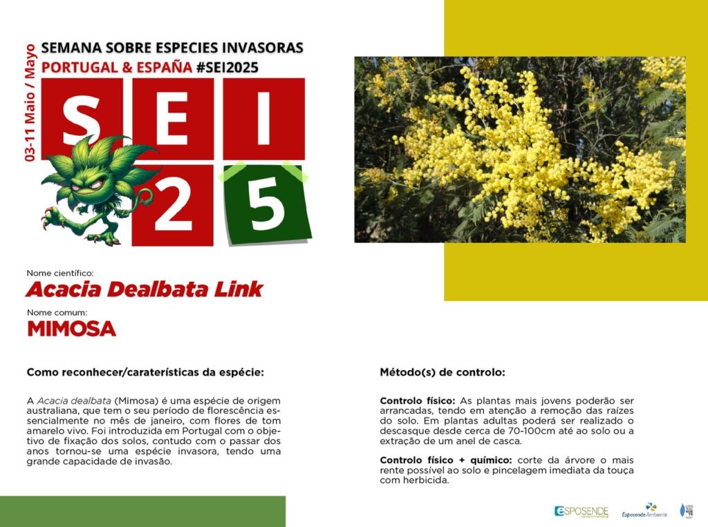 especie 1 semana inv