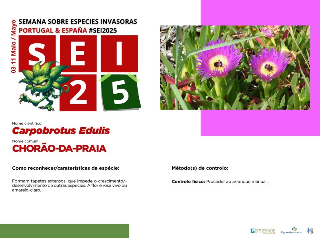 especie 4 inv