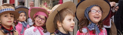 desfileCarnaval fantasiaAmbiente