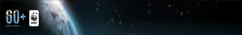 earth hour 2013