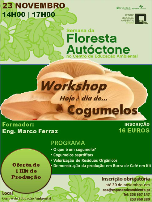 noticiacogumelos