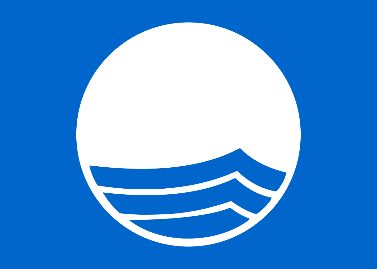 1200px Blue Flag Logo