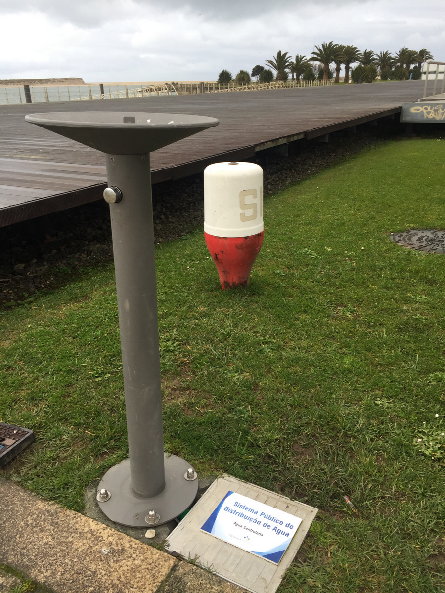 IMG 7165 1 1024 2500