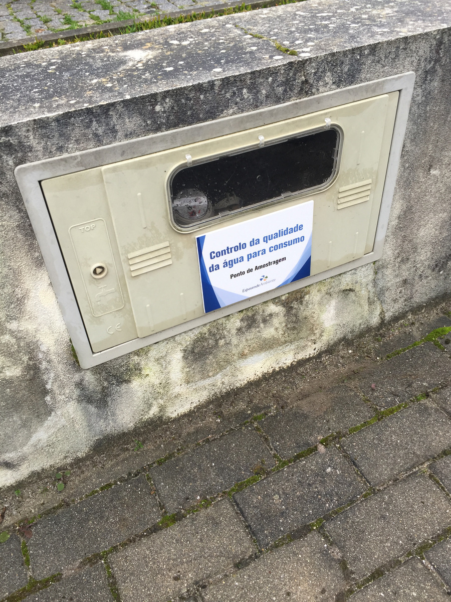 IMG 7182 1 1024 2500