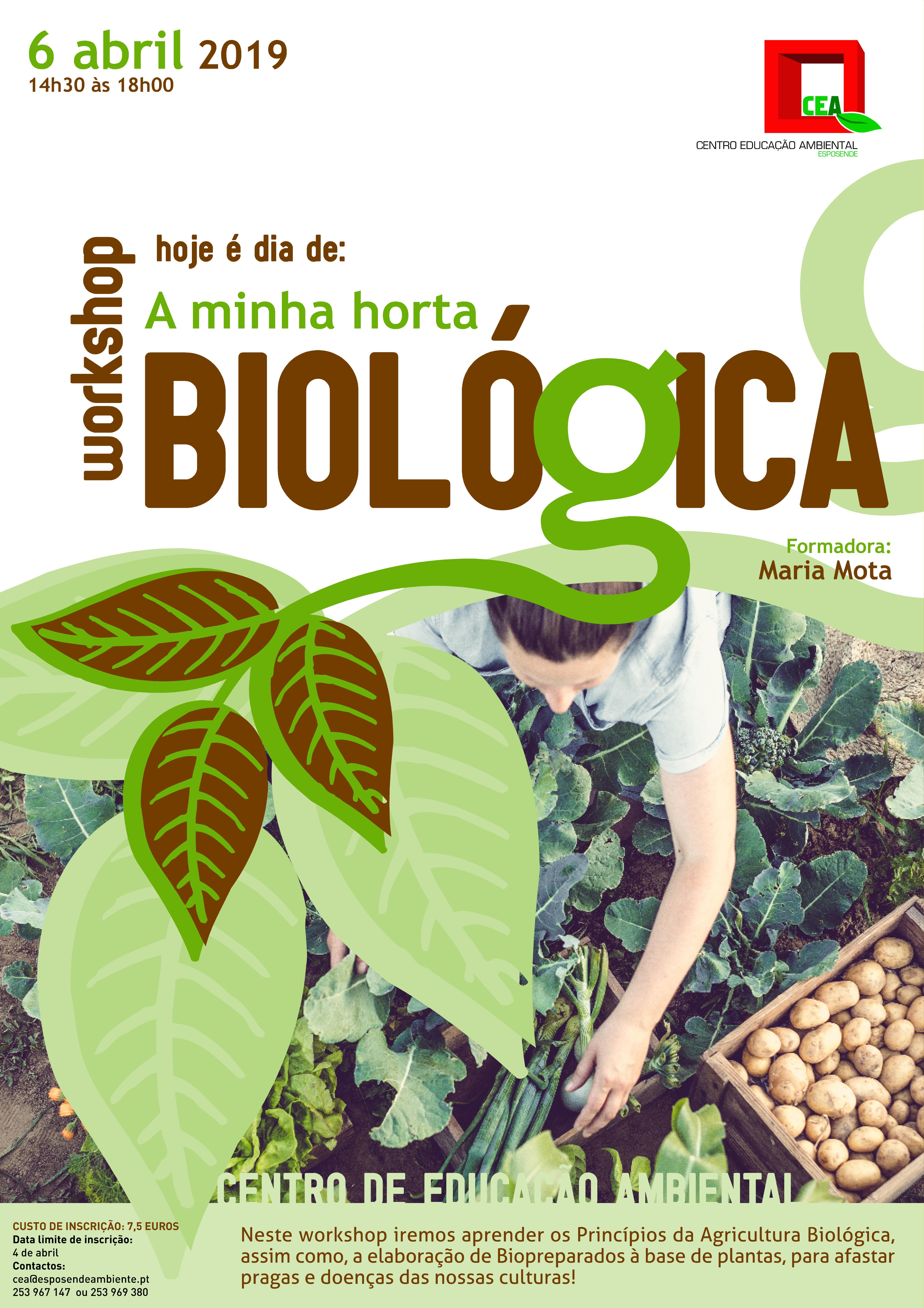 Workshop "Hoje é dia de: A minha horta Biológica" - Centro de Educação Ambiental de Esposende 3 horta BIOLOGICA