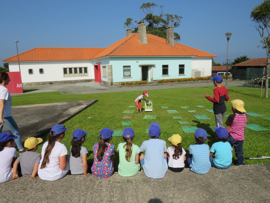 oficinas cea 1 1024 2500