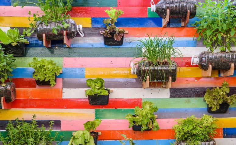 horta suspensa 1 1024 2500