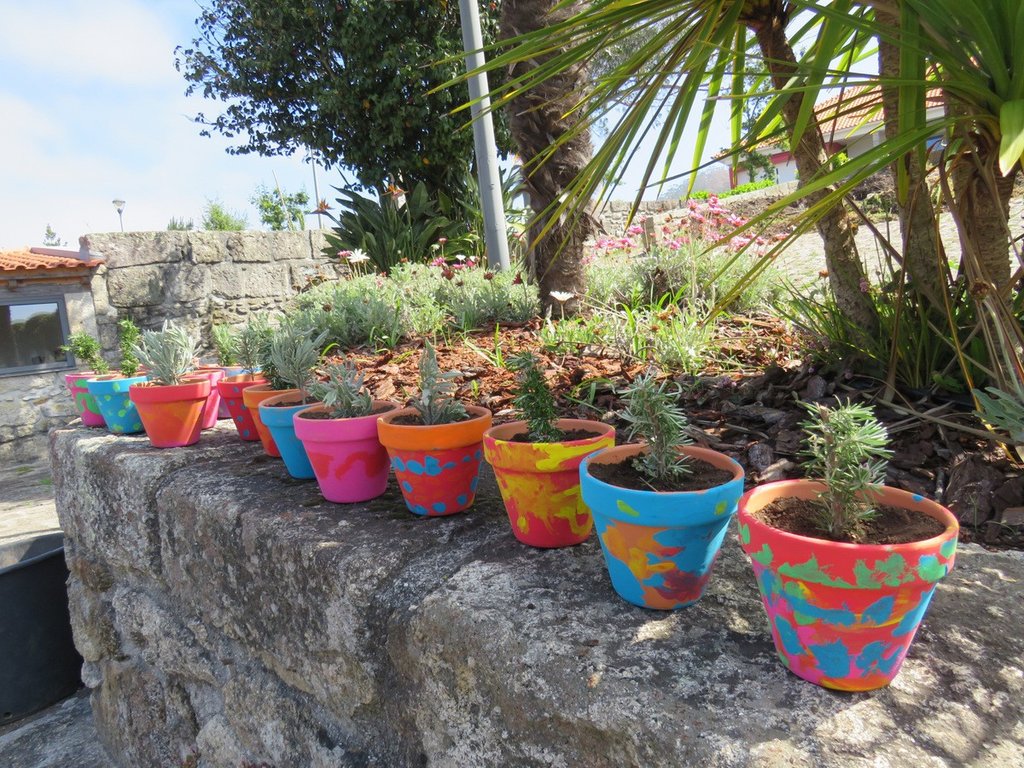 img 4266 002 1 1024 2500