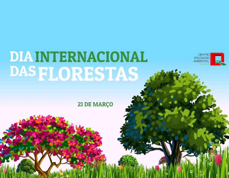 dia inter das florest2