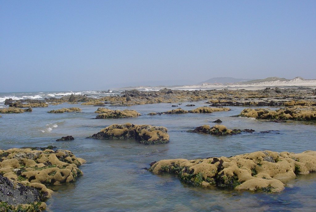 dsc00951 1 1024 2500