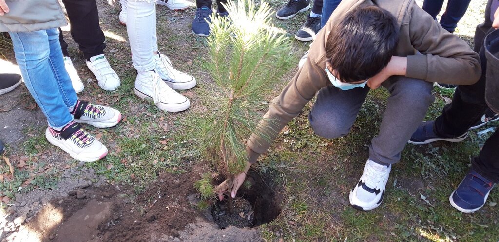 entregaeplantacaodearvoresautoctones 1 1024 2500