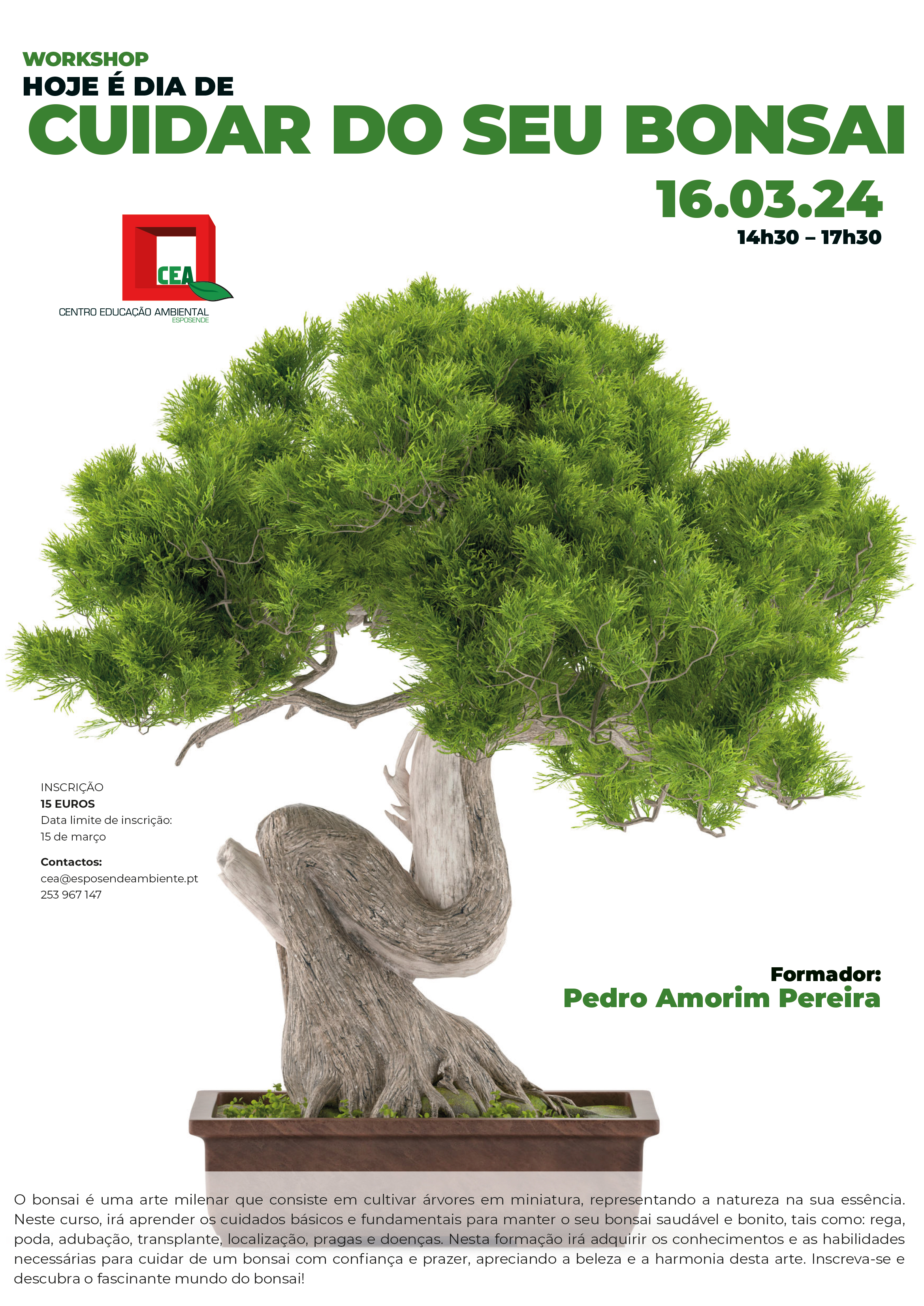 workshopHojeedia CuidardoseuBonsai