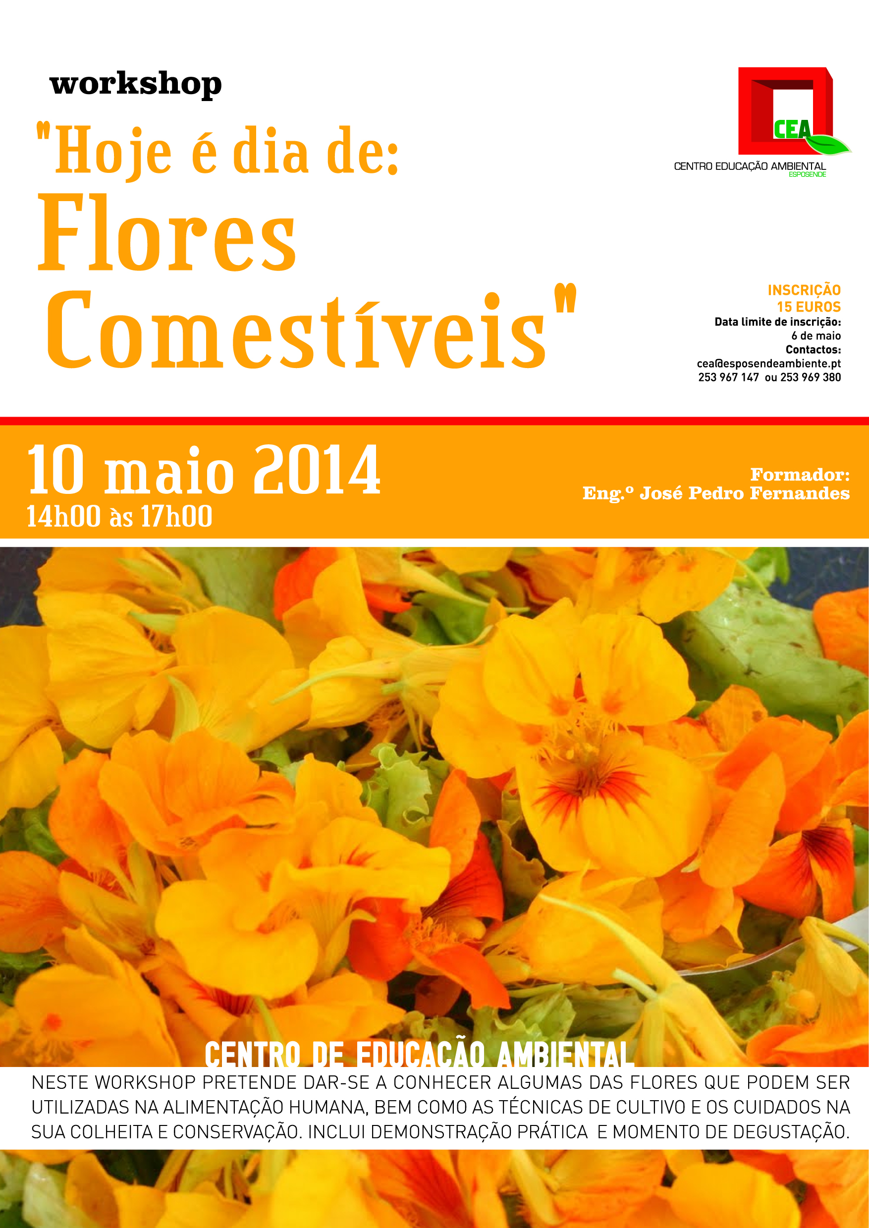workshop hoje e dia de flores comestiveis